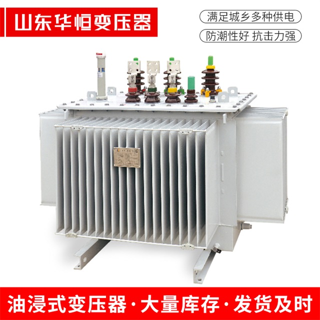 S13-10000/35宜春宜春宜春电力变压器
